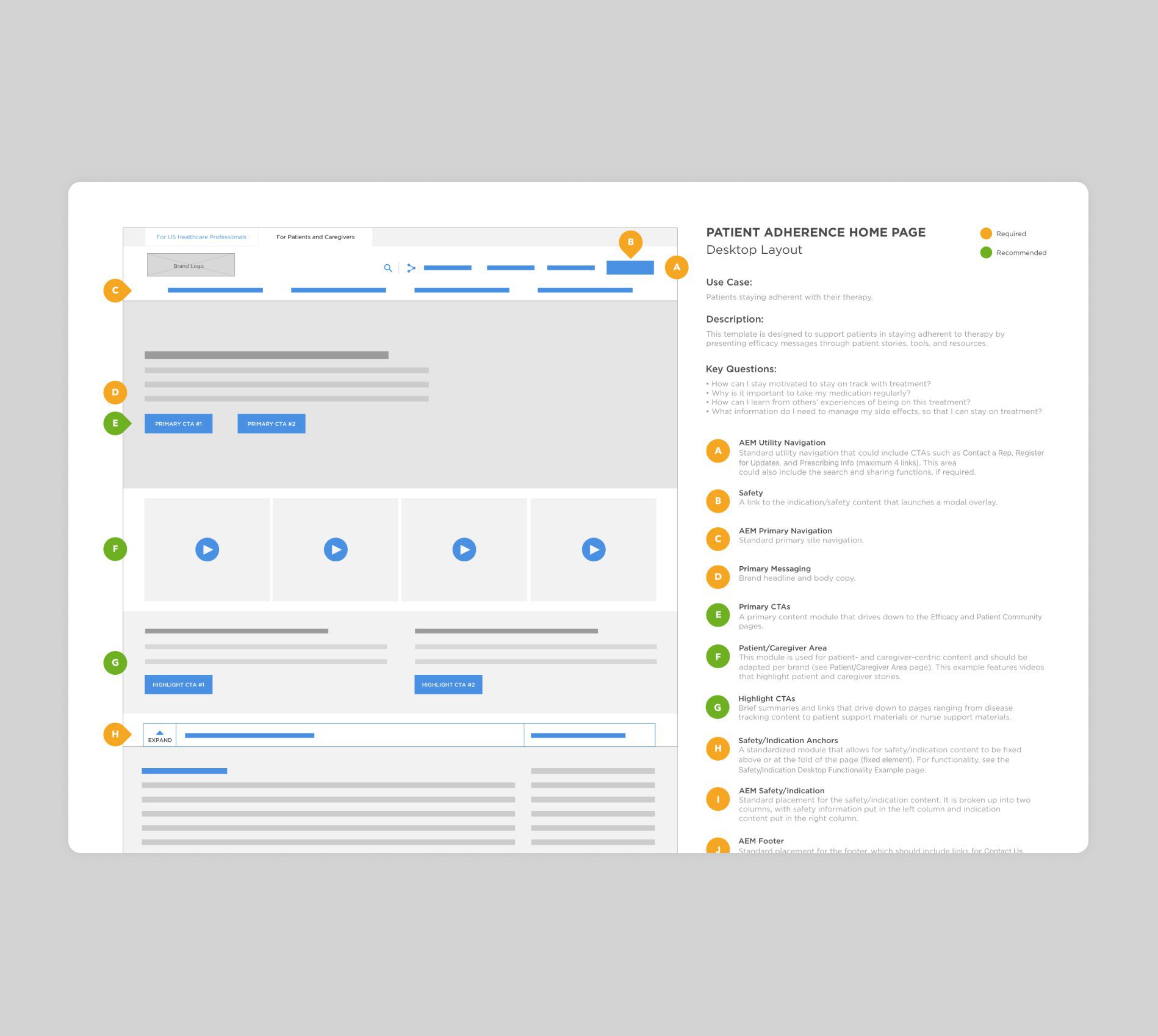 OCREVUS Wireframe